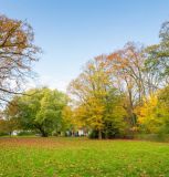 Dulst Parkanlage.JPG